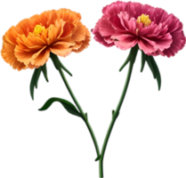 ai généré œillet clipart. une mignonne œillet fleur icône. png