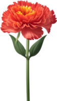 ai généré œillet clipart. une mignonne œillet fleur icône. png