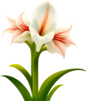 AI generated Amaryllis clipart. A cute Amaryllis flower icon. png