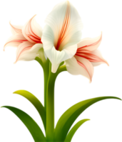 ai gerado amaryllis clipart. uma fofa amaryllis flor ícone. png