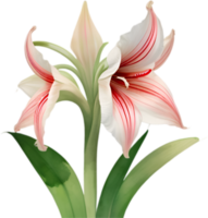 ai gerado amaryllis clipart. uma fofa amaryllis flor ícone. png