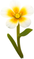 ai gegenereerd bloem icoon, detailopname van een schattig kleurrijk bloem icoon. png