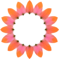 AI generated Flower icon, close-up of a cute colorful flower icon. png