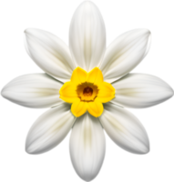 AI generated Flower icon, close-up of a cute colorful flower icon. png