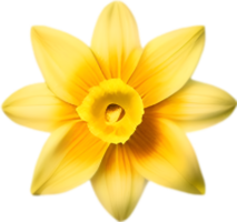 AI generated Flower icon, close-up of a cute colorful flower icon. png