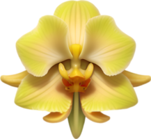 ai généré fleur icône, fermer de une mignonne coloré fleur icône. png