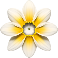 AI generated Flower icon, close-up of a cute colorful flower icon. png