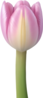 AI generated Flower icon, close-up of a cute colorful flower icon. png