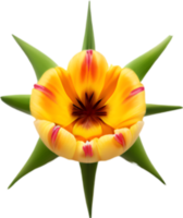 AI generated Flower icon, close-up of a cute colorful flower icon. png