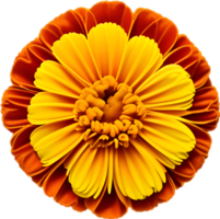 AI generated Flower icon, close-up of a cute colorful flower icon. png