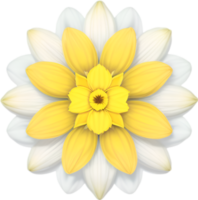 AI generated Flower icon, close-up of a cute colorful flower icon. png