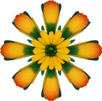 ai generiert Blume Symbol, Nahansicht von ein süß bunt Blume Symbol. png