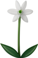 AI generated Flower icon, close-up of a cute colorful flower icon. png