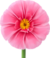 ai généré fleur icône, fermer de une mignonne coloré fleur icône. png