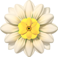 AI generated Flower icon, close-up of a cute colorful flower icon. png