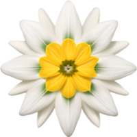 AI generated Flower icon, close-up of a cute colorful flower icon. png