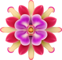 ai généré fleur icône, fermer de une mignonne coloré fleur icône. png