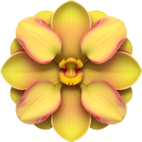 ai généré fleur icône, fermer de une mignonne coloré fleur icône. png