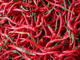 Fresh red chilies at the local traditional market. concept for spicy cuisine, manufacturer of hot sauces and seasonings. photo