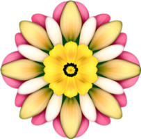 ai généré fleur icône, fermer de une mignonne coloré fleur icône. png