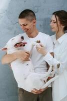 young couple guy and girl in a bright room playing with pet photo