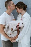 young couple guy and girl in a bright room playing with pet photo