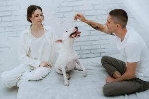 young couple guy and girl in a bright room playing with pet photo