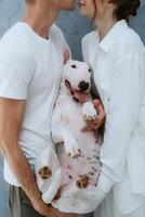 young couple guy and girl in a bright room playing with pet photo