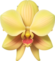 ai généré fleur icône, fermer de une mignonne coloré fleur icône. png