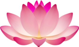 AI generated Flower icon, close-up of a cute colorful flower icon. png