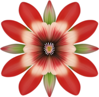 AI generated Flower icon, close-up of a cute colorful flower icon. png