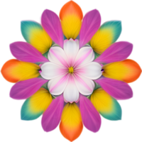 ai généré fleur icône, fermer de une mignonne coloré fleur icône. png