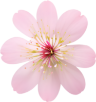 AI generated Flower icon, close-up of a cute colorful flower icon. png