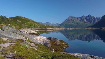 The drone is flying through a tent located on the shore of the Norwegian fjord. Adventure and travel concept. Lofoten Islands. 4K video