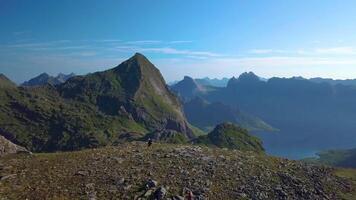 aéreo ver de niña con un mochila va en un montaña cresta. hermosa ver de el puntiagudo tapas de el lofoten islas Noruega 4k video