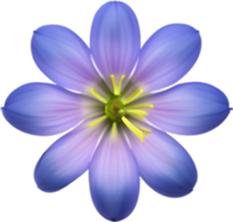 AI generated Flower icon, close-up of a cute colorful flower icon. png