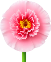 ai généré fleur icône, fermer de une mignonne coloré fleur icône. png