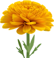 AI generated Flower icon, close-up of a cute colorful flower icon. png