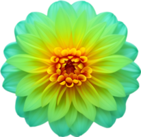 AI generated Flower icon, close-up of a cute colorful flower icon. png