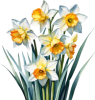 ai generato acquerello pittura di un' Narciso fiore. png