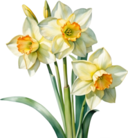 AI generated Watercolor painting of a Narcissus flower. png