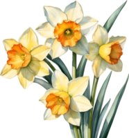 ai generato acquerello pittura di un' Narciso fiore. png