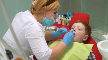 fechar-se do fêmea dentista tratando pequeno Garoto dentro dental clínica video