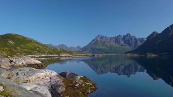 il fuco è volante attraverso un' tenda collocato su il riva di il norvegese fiordo. avventura e viaggio concetto. lofoten isole. 4k video