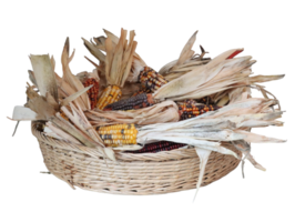 basket containing popcorn corn cobs- png