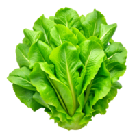 AI generated bunch of green salad- png