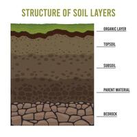 suelo capas. dibujos animados geología suelo estructura con arena subsuelo rocas y suciedad, subterráneo antiguo estratificación diagrama. vector para fértil suelo a base suelo