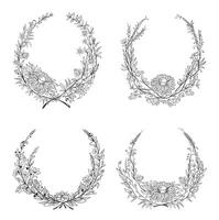 2211 m10 S ST Hand drawn round floral frames vector