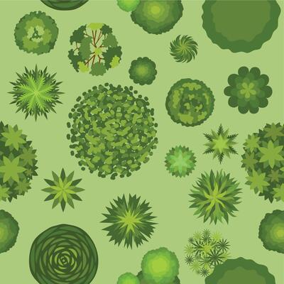 Forest landscape with trees top view seamless pattern. Map plan with bush and tree plants. Green park or garden aerial scheme vector texture