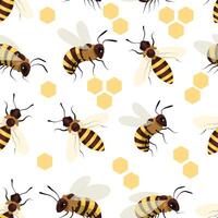 Honey bee pattern. Seamless print with winged striped insect, cute doodle apiary beekeeping elements for wrapping decoration fabric. Vector texture